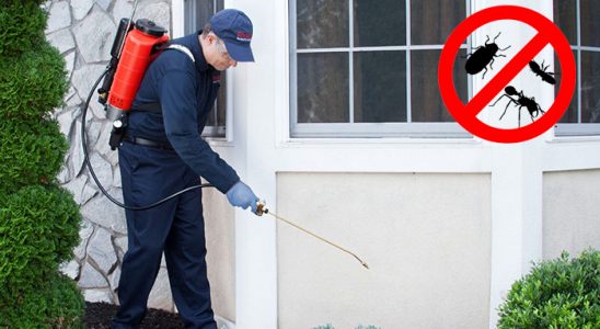 Karaisalı Pire İlaçlama böcek ilaçlama ve haşere kontrolü — ilaclama-tr.com